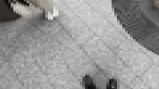 FC2PPV 4608145 最強アイドル誕生 jav