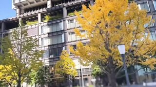 162 241211 金髪高身長のえっちなお姉さんとお会いしてきました Jav 1