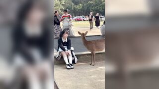 鹿「お嬢さん。スケベカメラマンに気をつけて。」 jav