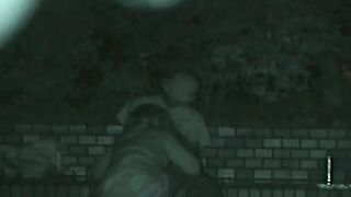 적외선 카메라로 촬영한 일반인들 야외섹스 jav