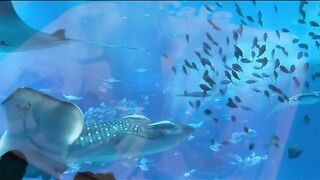 072q myfans 영상 30개 jav (19)