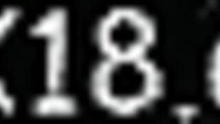 Well-Endowed Customer And Young Female Escort 4