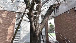 FC2PPV 4728869 【2発射特典】※Gカップ美女JD!!超名器運動歴12年の巨乳美女が撮影応募。大胆!!自分の部屋で巨根 jav