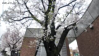 FC2PPV 4729238 【8迄990pt】Gカップ色白美巨乳。テニスで鍛えたエロいボディとの濃厚セックス！引き締まった美尻を貫き猛烈に突 jav