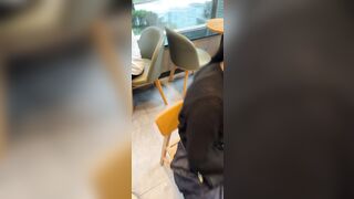 어제자 일반인 도촬 직찍 ipcam