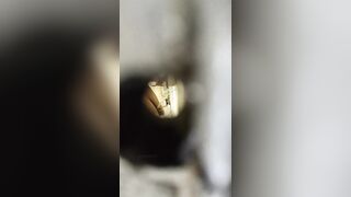 【盗撮トイレ盗撮】学生の女子校生や人妻、教師や美人女子校生のトイレ盗撮 jav jvip ipcam 3 (9)