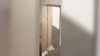 【バスルーム撮影寄せ集め】複数シーンと多彩な撮影テクニック集 330V jav jvip ipcam 13 (3)