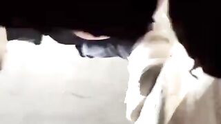 【バスルーム撮影寄せ集め】複数シーンと多彩な撮影テクニック集 330V jav jvip ipcam 32 (17)