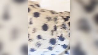 【巨匠がまとめた】航空大学校客室乗務員志望生のトイレ盗撮❤️客室乗務員のおまんこ超鮮明写真＋各航空会社客室乗務員の隠し撮り写真 jav jvip (34)