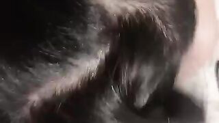 ※限定※【2.72GB】アヘ顔ドM調教日記【9人分】 jav jvip 12 (29)