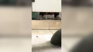 [Sichuan International Studies University] The most complete collection 220V ipcam 6