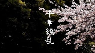 彗星の如く現れすべての男心を奪い去る。 ※完全版ZIPプレゼント jav jvip (2)