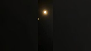 【短期販売】乱れ桜アイドルZOOMおなにー4名収録(A) jav jvip 1 (4)