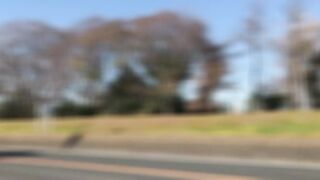 FC2PPV 4775489 ※18日まで85％OFF※【野外露出】【素人個撮】生活保護受けてます。カラダで家計を支える団地妻と野外フェラチオSEX jav