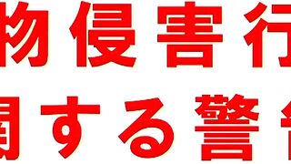 FC2PPV 4779294 PureMoeMix ふたりのひみつ デジタルリマスターエクセレントエディション跡美しゅり＆てんしちゃん① [有] jav