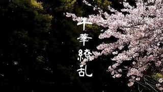 （特典あり） （無） 18歳のお嬢様にたっぷり中出し Jav Jvip 2 1