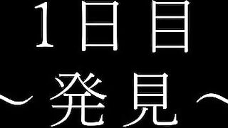 【再販】【期間限定】【触】１～１０見どころ満載総集編 驚愕のノンストップ60分収録 jav jvip