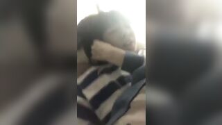 【合計300ファイル超】素人チャットオナニーまとめ jav jvip (118)