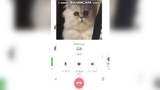 【合計300ファイル超】素人チャットオナニーまとめ jav jvip (96)