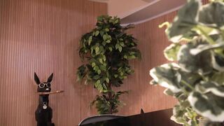 コンカフェ店長のセクハラ面接記録...34【彼氏と別れたばかりで傷心中の美人お姉さんにセクハラ三昧の口内発射】 jav jvip