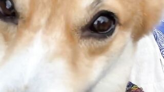 垢凸厳禁！！？フォロワーが知らない、美人インスタグラマーののハメ撮り【無修正】 jav jvip 2 (9)