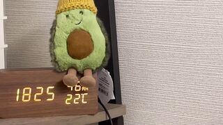 ※2日間限定※ クリスマス大放出スペシャル！高額商品詰め合わせ！ 719,600pt分 ※売り切れ次第終了 jav jvip (19)