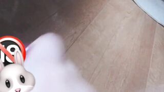 【土日限定】最新スマホ流 出美女☆豪華詰め合わせ(動画1453本＋写真5535枚）大容量の16.6GB！【本物・流 出】 jav jvip (1142)