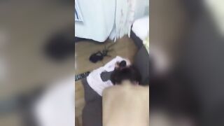 【土日限定】最新スマホ流 出美女☆豪華詰め合わせ(動画1453本＋写真5535枚）大容量の16.6GB！【本物・流 出】 jav jvip (287)