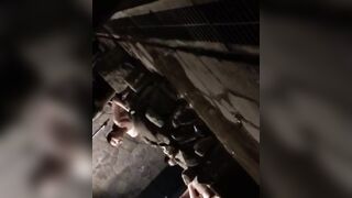 【土日限定】最新スマホ流 出美女☆豪華詰め合わせ(動画1453本＋写真5535枚）大容量の16.6GB！【本物・流 出】 jav jvip (463)