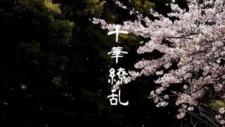 抜っっ群の超！清純美女ゆらちゃん 完品作品お得セット jav jvip