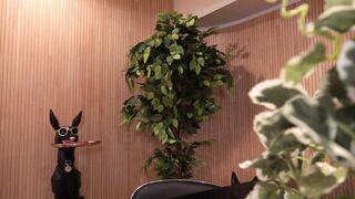 コンカフェ店長のセクハラ面接記録...29【スレンダーで清純すぎる地下アイドルがかわいすぎて喉奥イラマで大量発射】 jav jvip