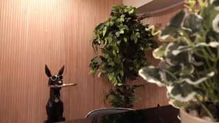 コンカフェ店長のセクハラ面接記録...24【「オナニーはほとんど毎日…」エロ過ぎるＨカップボディが勃起不可避の新人ちゃん】 jav jvip