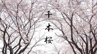 圧倒的透明感の最高美.女（5.7GB完品）超お勧めです jav jvip 1