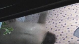 通りすがりに窓から覗き見07-15 jav jvip ipcam 10