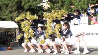 ★セット販売-大学チアステージ【HD05-01～04】4作品 voyeur jp (1)