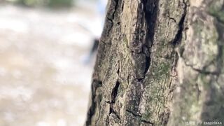 とある男の忘備録　巨乳ハーフトッカ― jav jvip