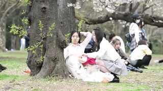 vol.656：お花見特集特集：デニミニを履いた可愛らしい子が見せパン全開！他、多数収録 voyeur jp (2)