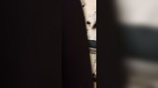 015 【4Kお買い得品】14名収録スパッツレギンス多めの運動姿 詰め合わせ voyeur jp