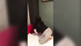 digi-tents_porn_554 jav jvip