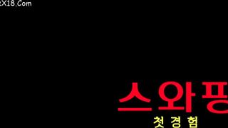 Swapping First Experience korean porn