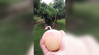 ミスコンファイナリストの大学生が登場です jav (17)