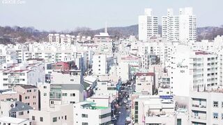 Insurance Queen Her Business Secrets korean porn