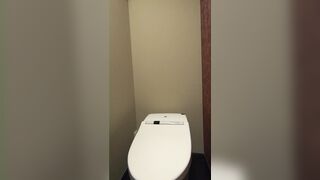 デパートのトイレでこっそりオナニーしちゃう jav jvip 2