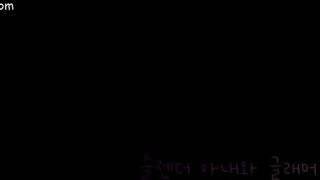 Slender Wife and Glamorous Younger Sister korean porn