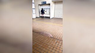 【ちょいギャル】 赤レザータイトミニが映える ！【040】 voyeur jp