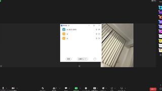 無　限定　癒しのアイドル系お姉さんとZOOMオナニー jav jvip