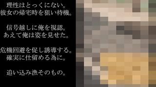 【3日間限定公開】[特別編]禁断のトイレへ連れ出し、生中出しで絶望の底に沈む jav jvip