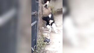 digi-tents porn 513-516 jav 2 (75)