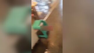 digi-tents porn 495-500 jav 1 (13)