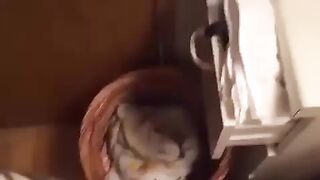 digi-tents porn 495-500 jav 7 (20)